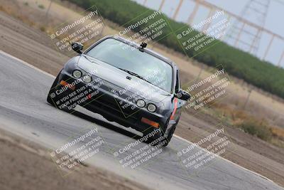 media/Jul-31-2022-Speed Ventures (Sun) [[bfb4b6530b]]/Black Group/Grapevine/